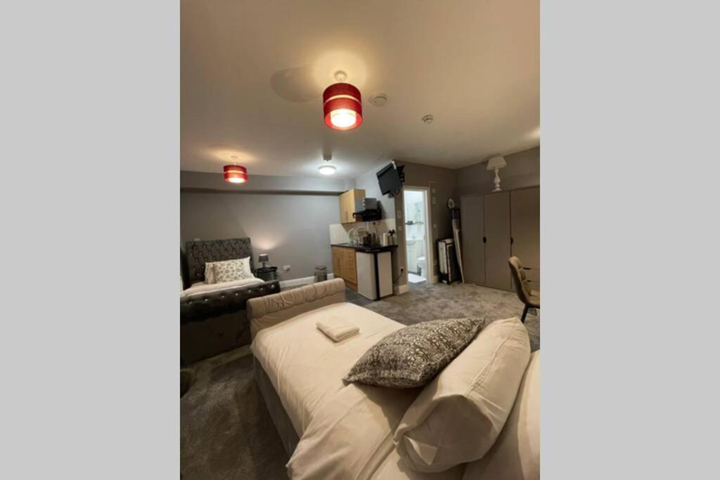 Spacious, Bright Twin Studio Apartment لندن المظهر الخارجي الصورة